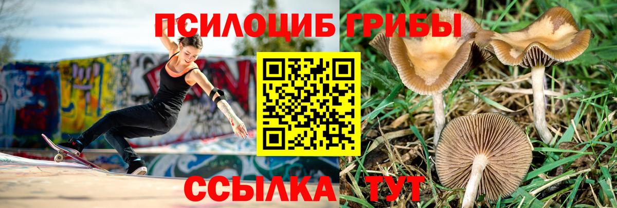 Галлюциногенные грибы ЛСД Тавда